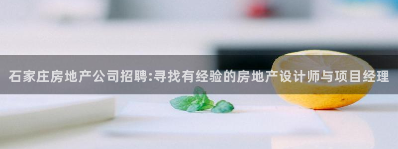 新宝5娱乐同：石家庄房地产公司招聘:寻找有经验的房地产设计师