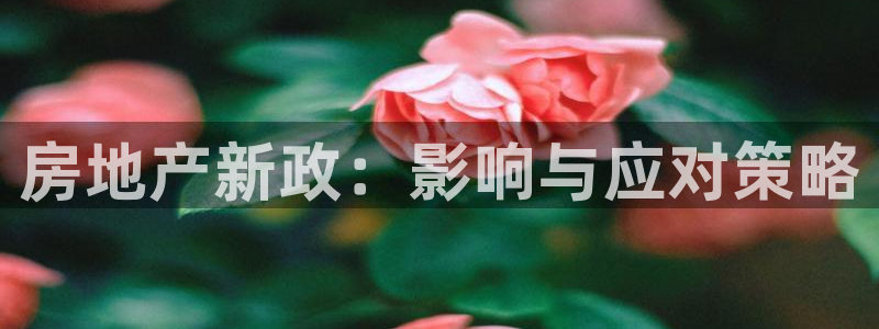 新宝5客户端登录：房地产新政：影响与应对策略