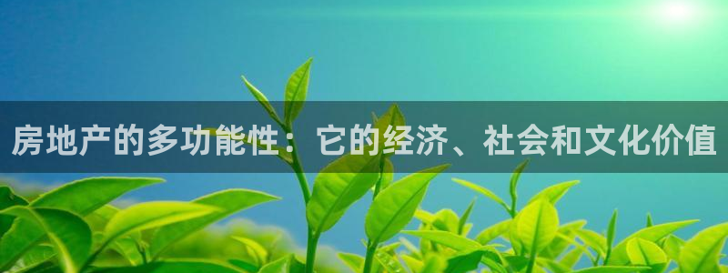 新宝5登录界面：房地产的多功能性：它的经济、社会和文化价值