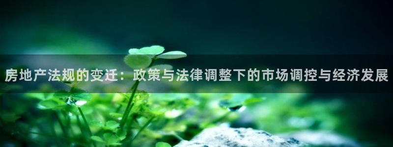 新宝娱乐5：房地产法规的变迁：政策与法律调整下的市场调控与经