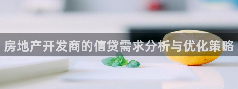 新宝5娱乐方：房地产开发商的信贷需求分析与优化策略