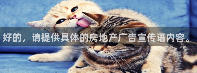 新宝5下载测试：好的，请提供具体的房地产广告宣传语内容。