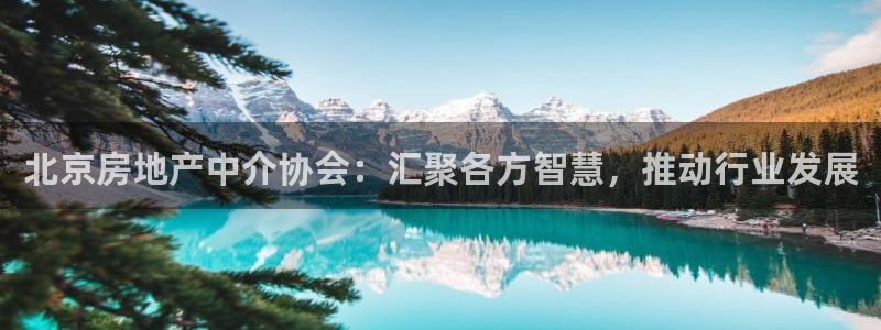 新宝5网站：北京房地产中介协会：汇聚各方智慧，推动行业发展