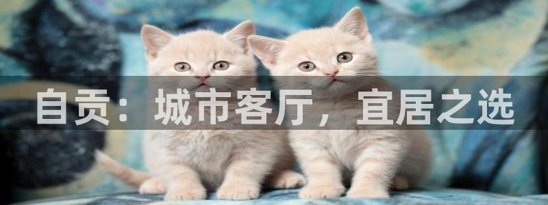 新宝5首页：自贡：城市客厅，宜居之选