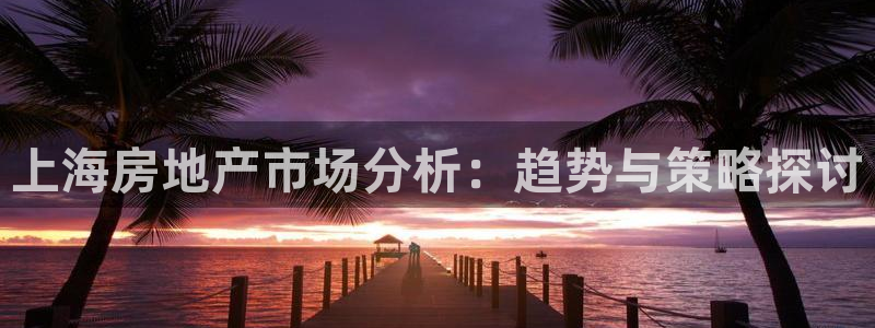 新宝5蒋74OOO5：上海房地产市场分析：趋势与策略探讨