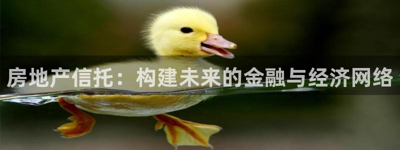 新宝5蒋74OOO5：房地产信托：构建未来的金融与经济网络