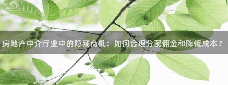 新宝5首页：房地产中介行业中的隐藏商机：如何合理分配佣金和降