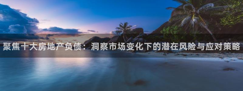 新宝5手机测速：聚焦十大房地产负债：洞察市场变化下的潜在风险