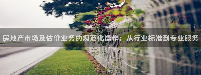 新宝5注册平台：房地产市场及估价业务的规范化操作：从行业标准