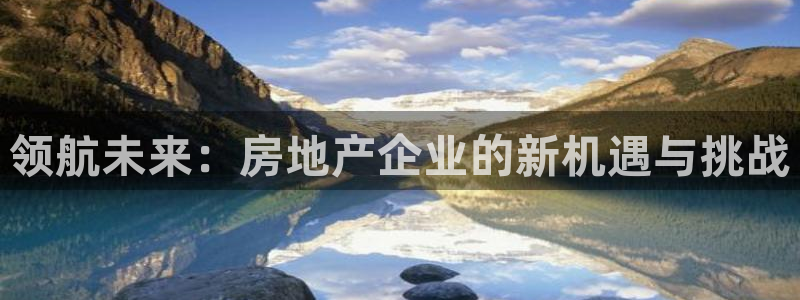 新宝5唯一：领航未来：房地产企业的新机遇与挑战