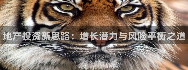 新宝5测试：地产投资新思路：增长潜力与风险平衡之道