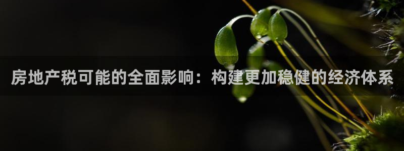 新宝5内部：房地产税可能的全面影响：构建更加稳健的经济体系
