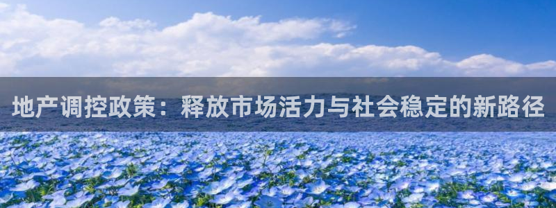 新宝j2O5O5O：地产调控政策：释放市场活力与社会稳定的新