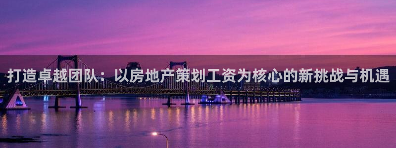 新宝5注册流程：打造卓越团队：以房地产策划工资为核心的新挑战