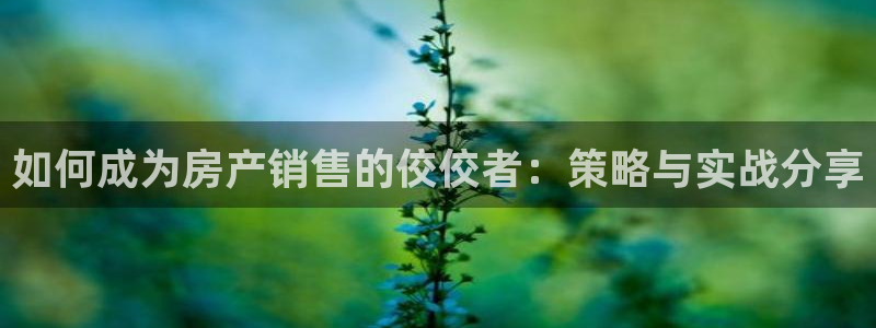 新宝5app手机下载：如何成为房产销售的佼佼者：策略与实战分
