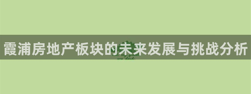新宝cR一5：霞浦房地产板块的未来发展与挑战分析