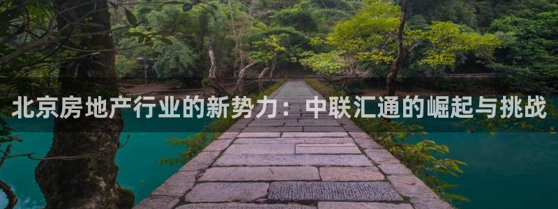 新宝集团新宝5：北京房地产行业的新势力：中联汇通的崛起与挑战