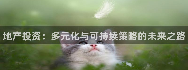 新宝5苹果手机下载：地产投资：多元化与可持续策略的未来之路