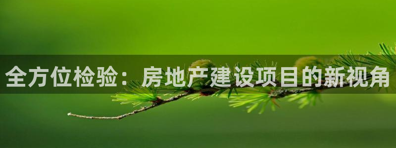 新宝5黑：全方位检验：房地产建设项目的新视角