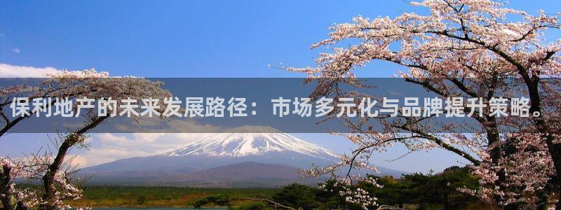 新宝5郑74OOO5：保利地产的未来发展路径：市场多元化与品