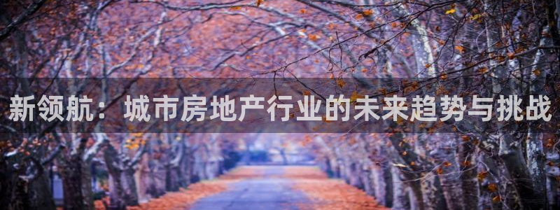 新宝5飞355051：新领航：城市房地产行业的未来趋势与挑战